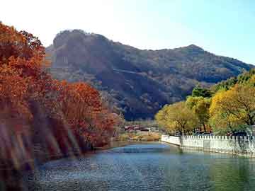 新澳天天开奖资料大全旅游团，中国车险市场分析